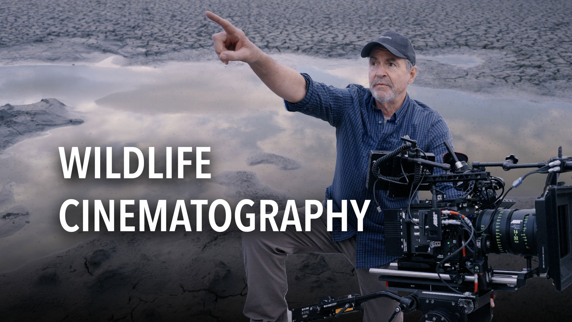 Wildlife Cinematography Workshop course